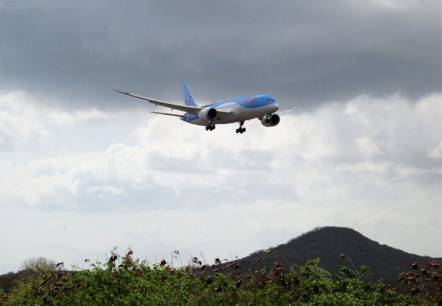 Boeing 787-8 (G-TUID)