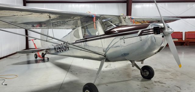 Cessna 140 (N2603N)