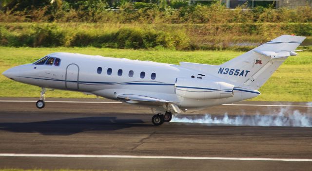 Hawker 800 (N365AT)