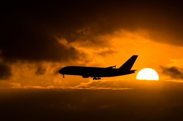 Airbus A380-800 (HS-TUC)