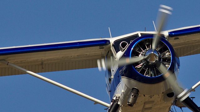 De Havilland Canada DHC-2 Mk1 Beaver (N2400F) - Walking the dog in the Mendenhall Wetlands.  I am somewhere in that spinner reflection.