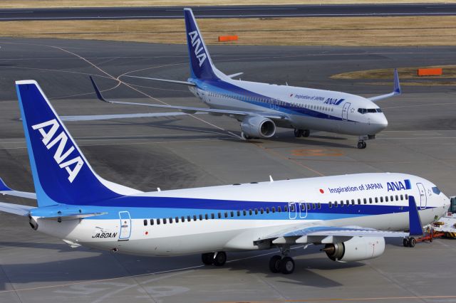Boeing 737-800 (JA80AN)
