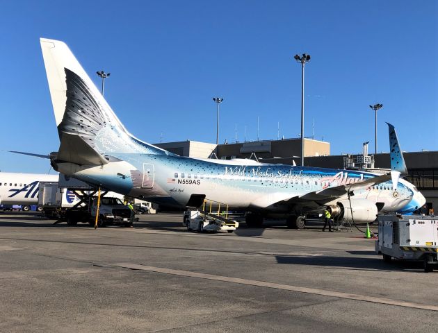 Boeing 737-800 (N559AS) - Salmon 37