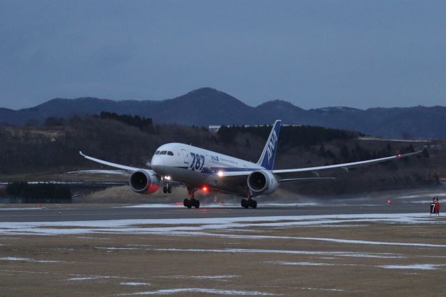 Boeing 787-8 (JA817A) - 04 January 2016:HKD-HND.