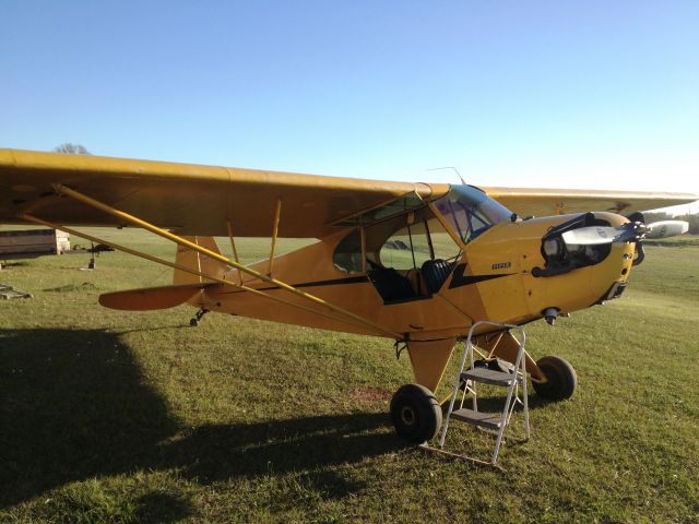 Piper NE Cub —