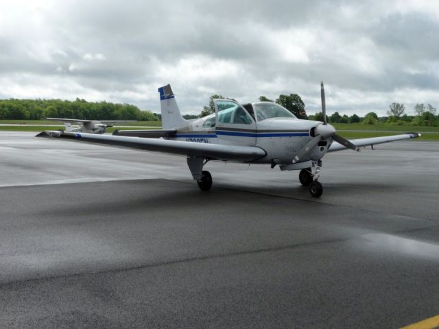 Beechcraft Bonanza (33) (N7005N)