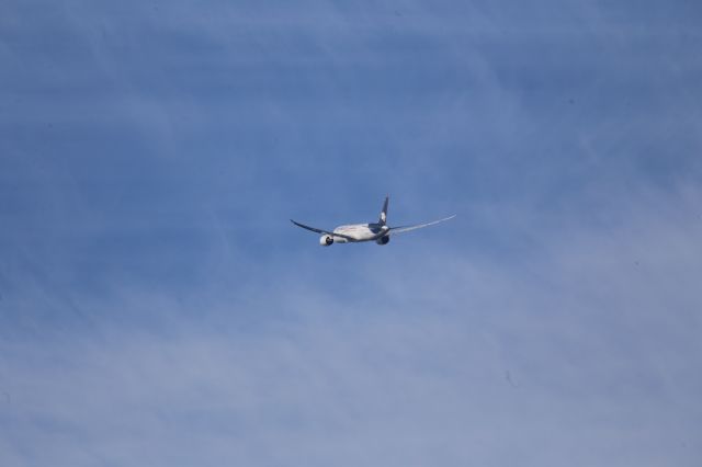Boeing 787-8 (N966AM)