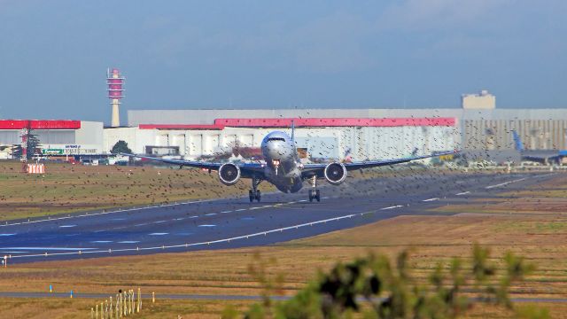 BOEING 777-300 (F-GSQX) - I discovered this flight of birds after downloading the photo.