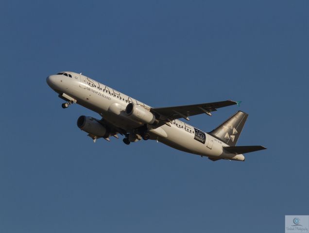 Airbus A320 (ZK-OJH) - 15th anniversary Star Alliance scheme on finals RWY 01