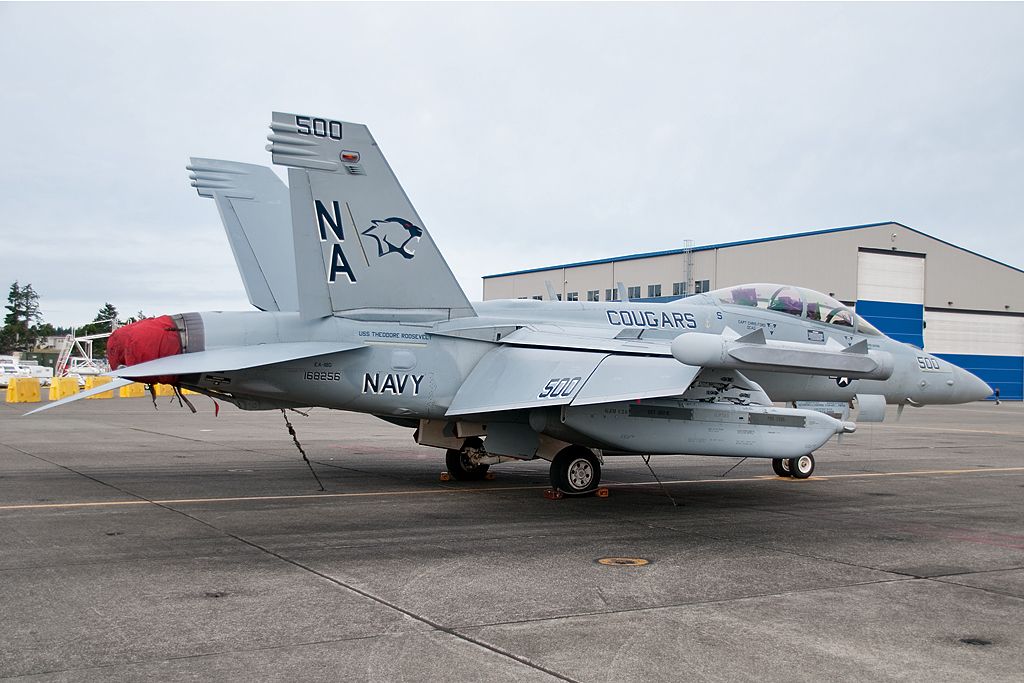 McDonnell Douglas FA-18 Hornet —