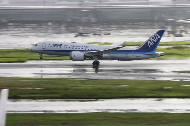 Boeing 787-8 (JA815A)