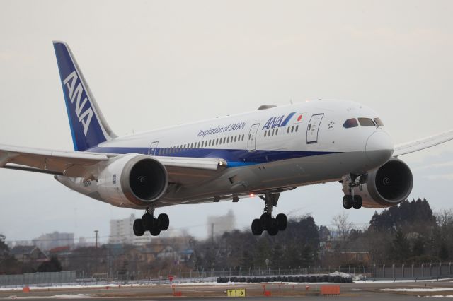 Boeing 787-8 (JA824A) - February 22nd 2020:HND-HKD.