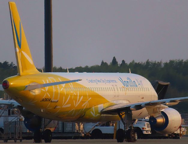 Airbus A320 (JA06VA) - I took this picture on Jun 06, 2019.br /This vanilla machine off the line is likely to be converting the interior to a peach specification.