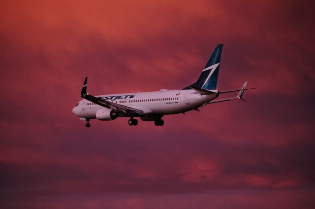 Boeing 737-800 (C-FAWJ)