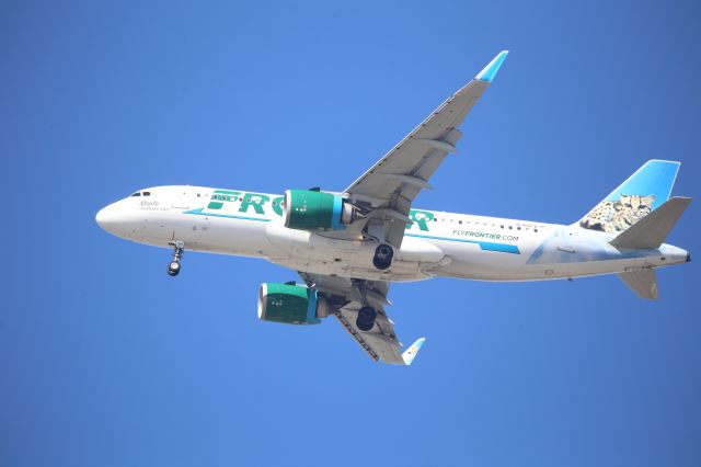Airbus A320neo (N381FR)