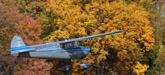 Cessna 170 (N9950A) - Shortly after departure is this 1950 Cessna 170A in the Autumn of 2022.