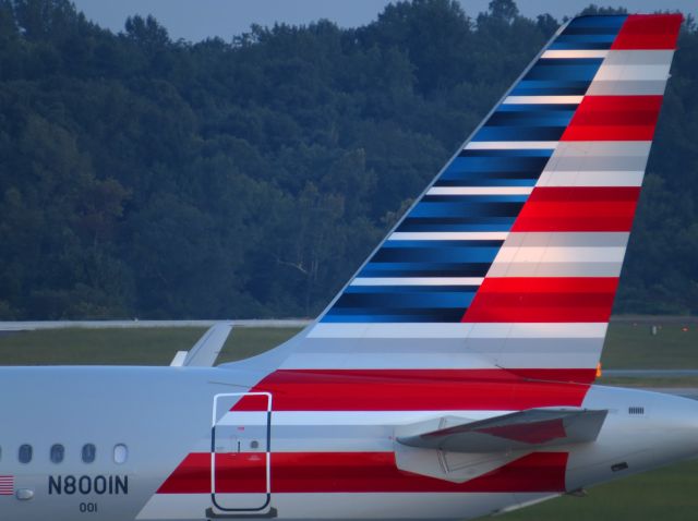 Airbus A319 (N8001N) - Taken Sept. 9, 2013  Zoomed in on tail just to show detail in stripes.