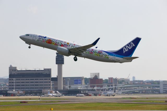 Boeing 737-800 (JA85AN) - Tohoku FLOWER JET Livery