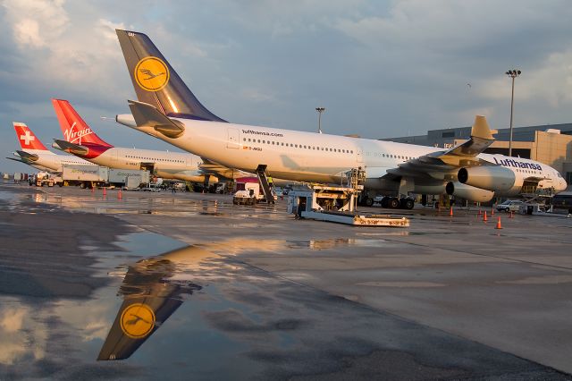 Airbus A340-300 (D-AIGU) - Tail reflection after a summer downpour !