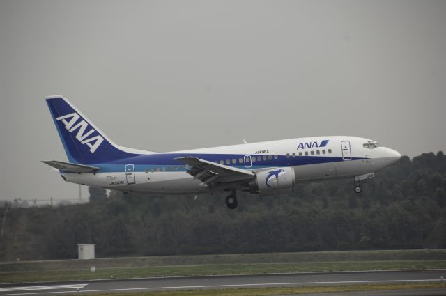 Boeing 737-500 (JA303K) - Landing at NRT Airport Runway 16L on 2011/11/3 ANA c/s