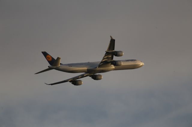 Airbus A340-600 (D-AIHO)