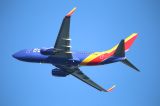 N7873A thumbnail