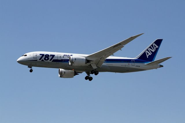 Boeing 787-8 (JA813A)