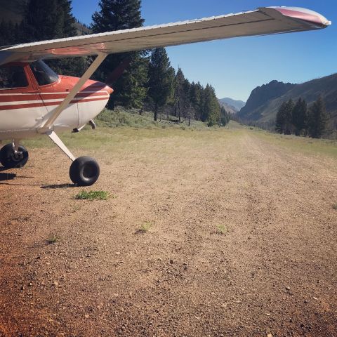 Cessna Skywagon 180 (N66289)