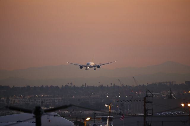 Boeing 787-9 Dreamliner (N19951)