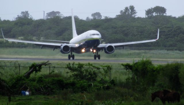 Boeing 737-800 (N732MA)