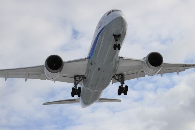 Boeing 787-8 (JA809A) - December 21st 2019:HND-HKD.