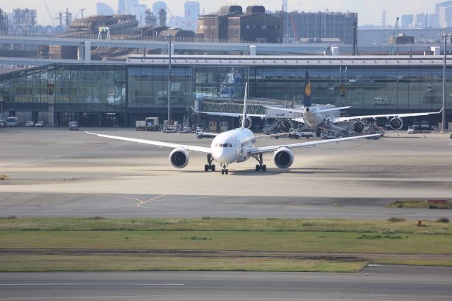 Boeing 787-8 (JA802A)