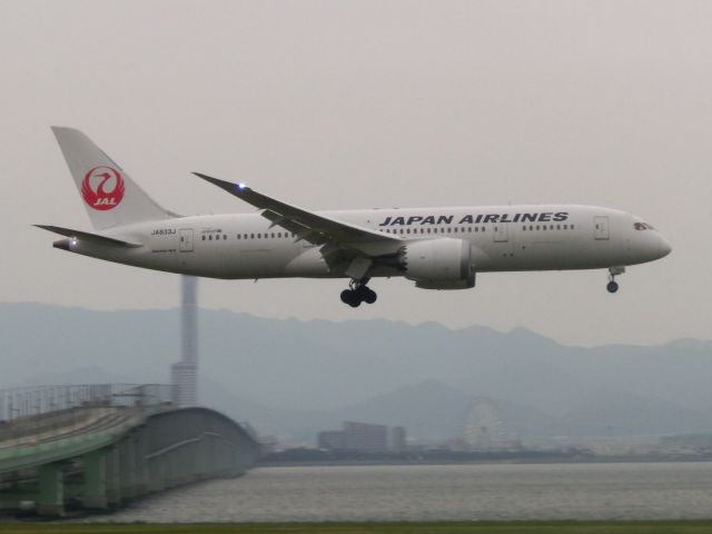 Boeing 787-8 (JA833J) - ロサンゼルスから。