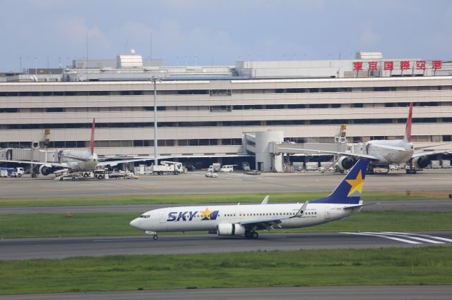 Boeing 737-800 (JA73NA)