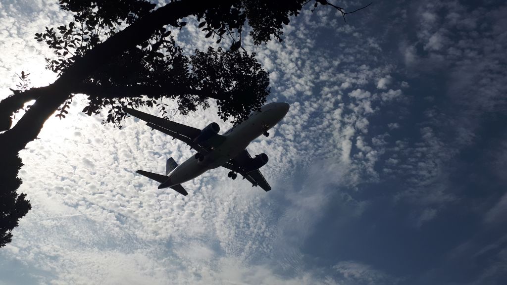 Airbus A320 — - APPROACH 24R KLAX