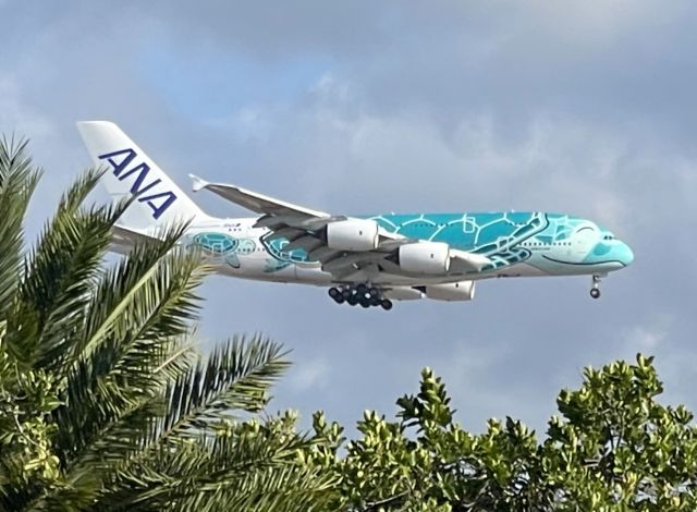 Airbus A380-800 —