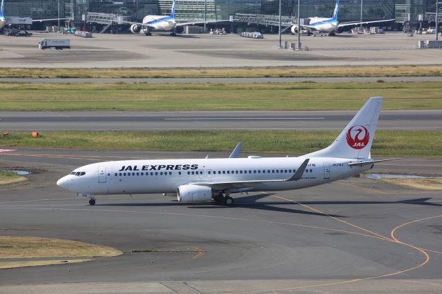 Boeing 737-800 (JA316J)