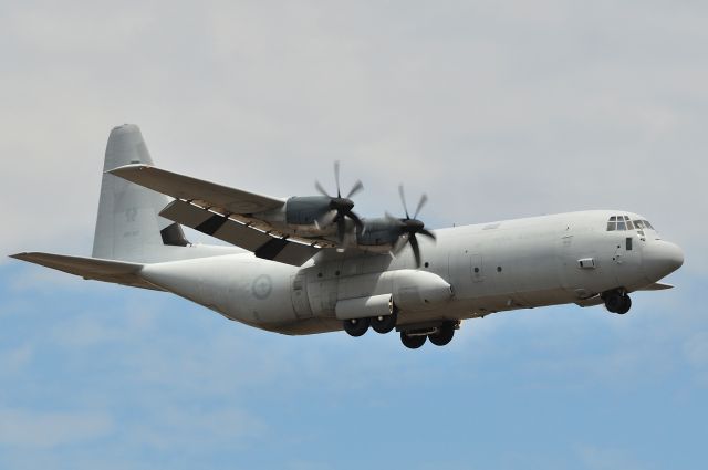 Lockheed C-130 Hercules (A97447)