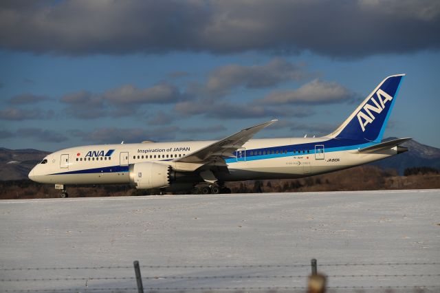 Boeing 787-8 (JA810A) - January 18,2025:HKD-HND.