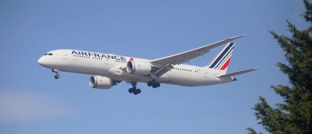 Boeing 787-9 Dreamliner (F-HRBF) - CDG   4-2-2024