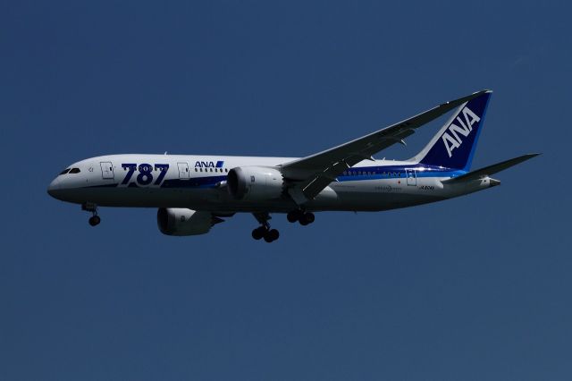 Boeing 787-8 (JA804A)