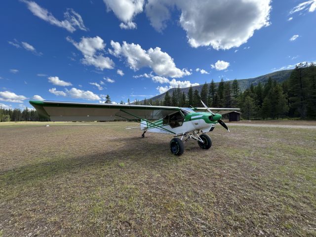 Piper L-21 Super Cub (N353LW)