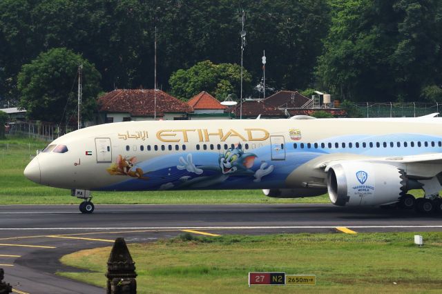 BOEING 787-10 Dreamliner (A6-BMA) - "Warner Bros World" livery