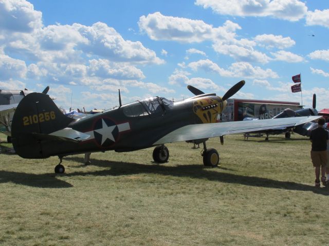 CURTISS Warhawk (N401WH) - Oshkosh 2013!