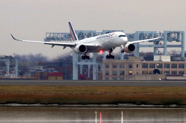 Airbus A350-900 (F-HTYA) - AFR 334 arriving from Paris