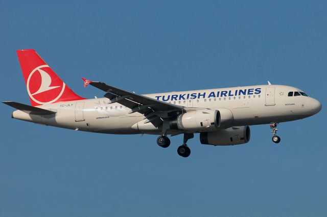 Airbus A319 (TC-JLY)