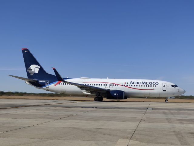 Boeing 737-800 (N825AM)