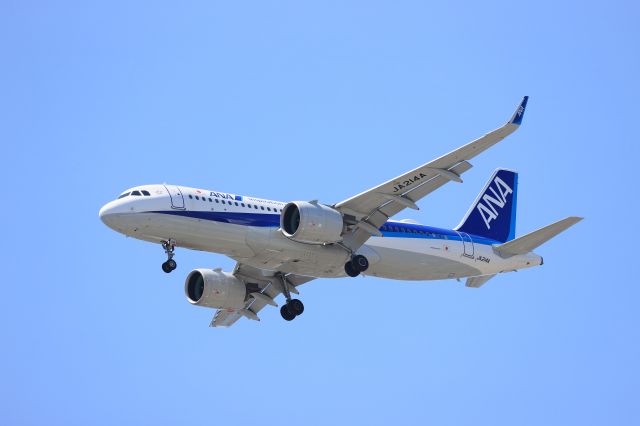 Airbus A320 (JA214A) - June 30th 2021:HND-HKD.