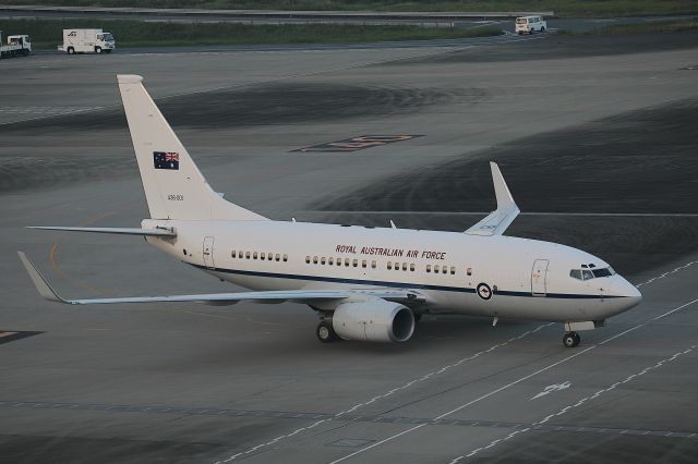 Boeing 737-700 (A36001) - Royal Australia Air Force-Boeing 737-700 BBJbr /SYD-HND