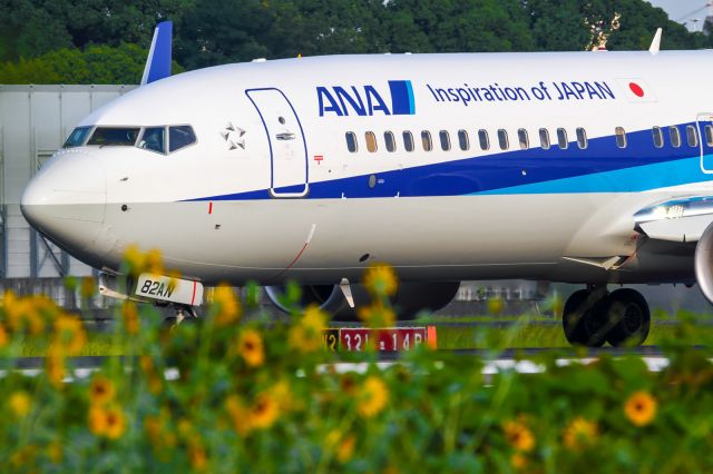 Boeing 737-800 (JA82AN)